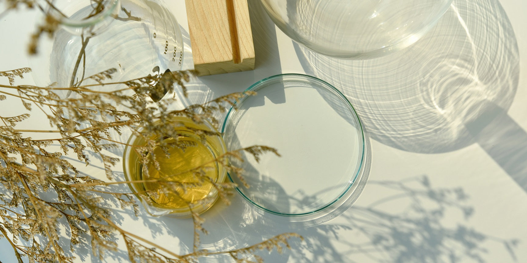 Holistic Beauty: Nutrition & Skin