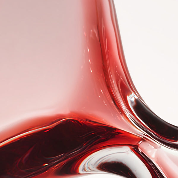 Extrait de fleur de calendula