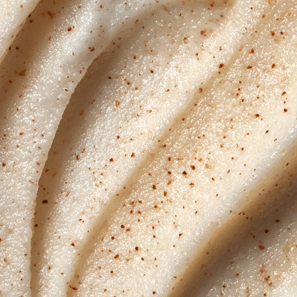 Poudre de coquille de noix