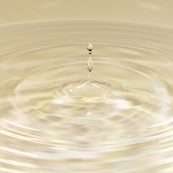 Extrait de graines de baobab